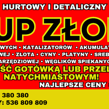 Ogłoszenie - SKUP ZŁOMU I KATALIZATORÓW NAJWYŻSZE CENY W POLSCE - Nowy Sącz
