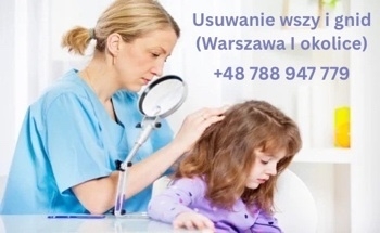Ogłoszenie - Usuwanie wszy i gnid u dzieci i dorosłych