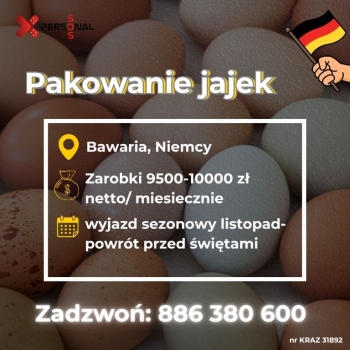 Ogłoszenie - Pracownik sezonowy – pakowanie jajek (wyjazd do świąt)