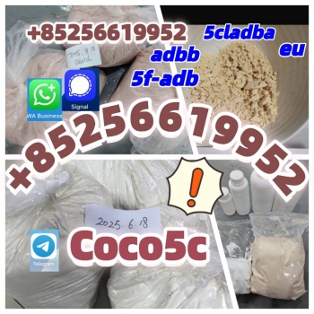 Ogłoszenie - RAW MATERIALS 5CLADBA ADBB ADB-BUTINACA 5CLADBA PRECURSOR