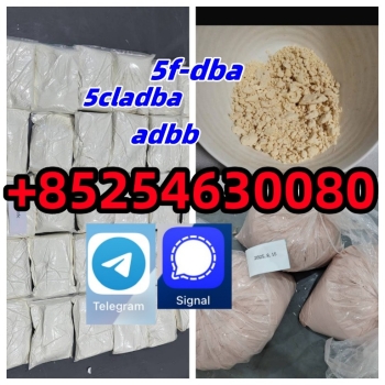 Ogłoszenie - Supply Yellow Powder 5cladba Adbb 5cl-adb-a 5cl Raw Materials, High Quality - Otwock - 324,00 zł