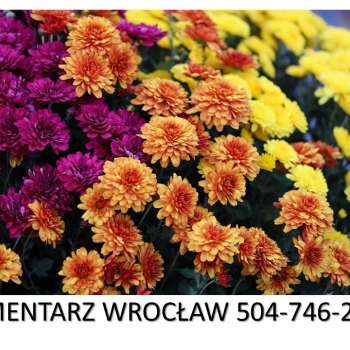 Ogłoszenie - Sprzątanie grobów na cmentarzu przy ulicy Osobowickiej we Wrocławiu, tel. 504-746-203