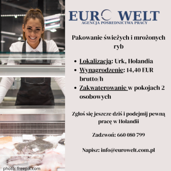 Ogłoszenie - Holandia/ Pakowanie świeżych i mrożonych ryb