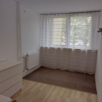 Ogłoszenie - 2pok, 35met, okolice Bacciarellego PIWNICA (Wrocław)