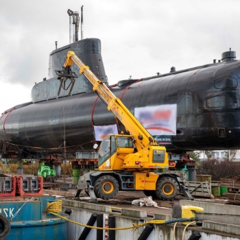Ogłoszenie - Wynajem ładowarek teleskopowych DIECI ładowarka teleskopowa
