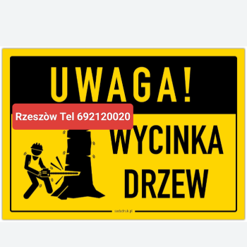 Ogłoszenie - Wycinka drzew podcinanie gałęzie Rzeszów tel 692120020