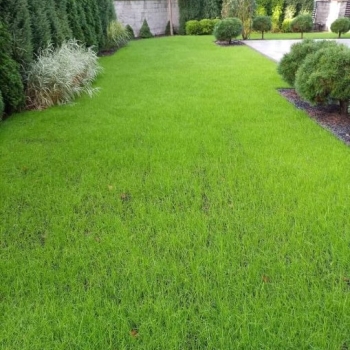 Ogłoszenie - Usługi ogrodnicze