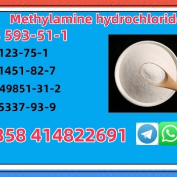 Ogłoszenie - CAS 593-51-1 Methylamine hydrochloride Factory Supply High Purity 100% Safe Delivery