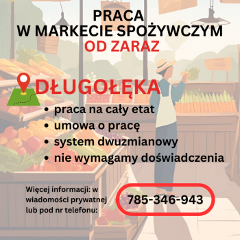 Ogłoszenie - Praca w markecie, Dino Polska S.A., Długołęka