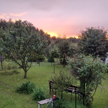 Ogłoszenie - Działka ROD z domkiem 2025 – Aleksandrów Kujawski