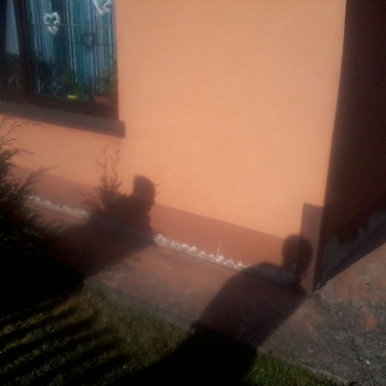 Ogłoszenie - Osuszanie, Izolacje i Odgrzybianie Piwnic oraz Fundamentów - Murexpert Śląsk, Małopolska