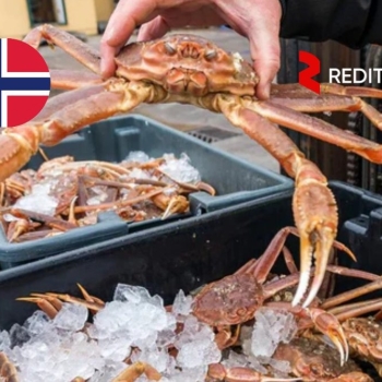 Ogłoszenie - Pracownicy produkcyjni (fabryka krabów śnieżnych) - praca w Norwegia (2013)