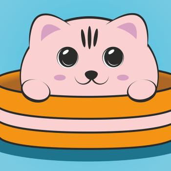 Ogłoszenie - Głodne koty w azylu potrzebują pomocy!