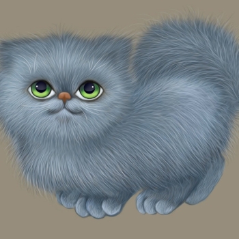 Ogłoszenie - Ofiaruj kotom w azylu potrzebne rzeczy!