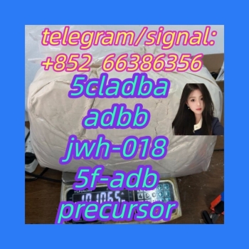Ogłoszenie - 5cladba adbb jwh-018 5f-adb precursor  发过的人员
