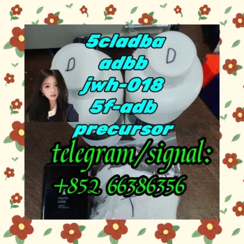 Ogłoszenie - 5cladba adbb jwh-018 5f-adb precursor  使得我稳定