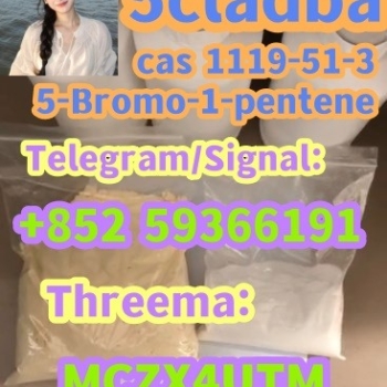 Ogłoszenie - 5-Bromo-1-pentene 1119-51-3 5cladba