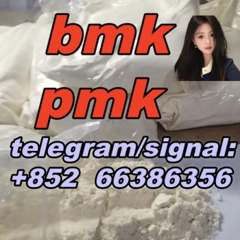 Ogłoszenie - BMK PMK Oil Powder封条号封条号