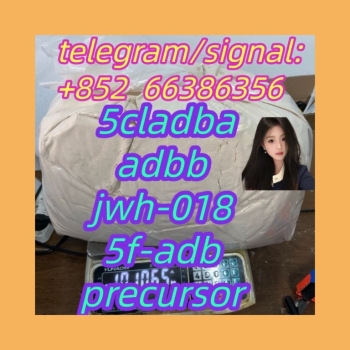 Ogłoszenie - 5cladba adbb jwh-018 5f-adb precursor  地方哈弗大狗
