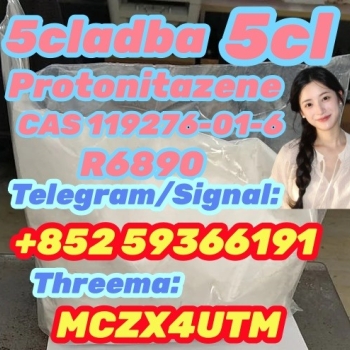 Ogłoszenie - PROTONITAZENE, CAS 119276 - 01 - 6, HIGH PURITY