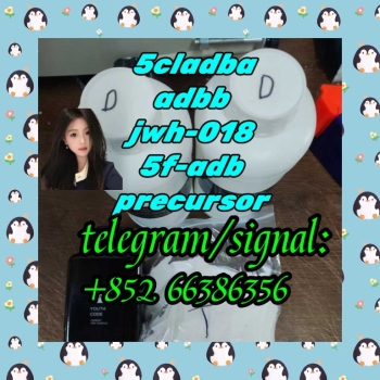 Ogłoszenie - 5cladba adbb jwh-018 5f-adb precursor  给变更法人纪念堂