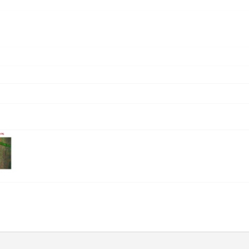 Ogłoszenie - Usługi hakerskie - bazy danych, sociale, android, winda