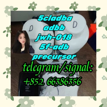 Ogłoszenie - 5cladba adbb jwh-018 5f-adb precursor  规范化那个房间核桃仁