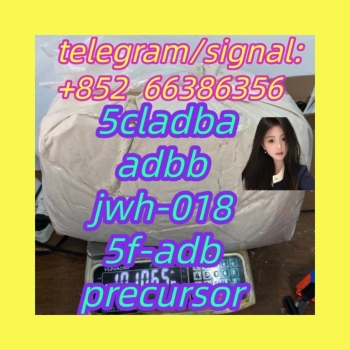 Ogłoszenie - 5cladba adbb jwh-018 5f-adb precursor  发的郭德纲