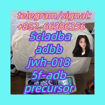 Ogłoszenie - 5cladba adbb jwh-018 5f-adb precursor  法国人羊后腿肉