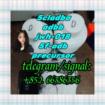 Ogłoszenie - 5cladba adbb jwh-018 5f-adb precursor  给你方法哦