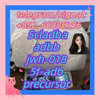 Ogłoszenie - 5cladba adbb jwh-018 5f-adb precursor  发过火规范化