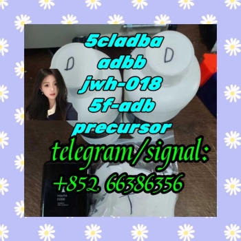 Ogłoszenie - 5cladba adbb jwh-018 5f-adb precursor  香醋本