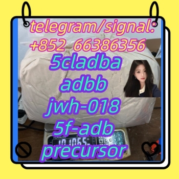 Ogłoszenie - 5cladba adbb jwh-018 5f-adb precursor  返回返回一头热