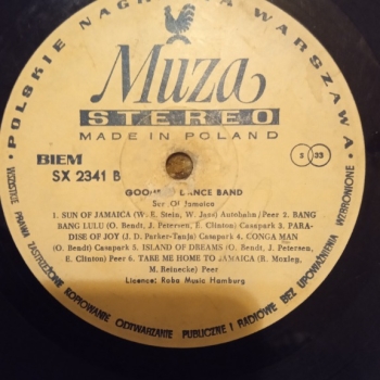 Ogłoszenie - Płyta winylowa