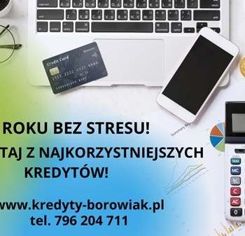 Ogłoszenie - KONIEC ROKU BEZ STRESU – SKORZYSTAJ Z NAJKORZYSTNIEJSZYCH KREDYTÓW! - 1,00 zł