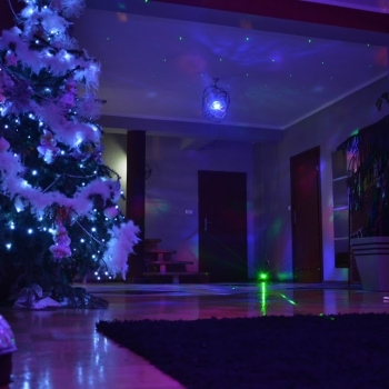 Ogłoszenie - Domki na Mazurach dla Rodzin – Lato, Zima i Weekendowe Wypady przez Cały Rok