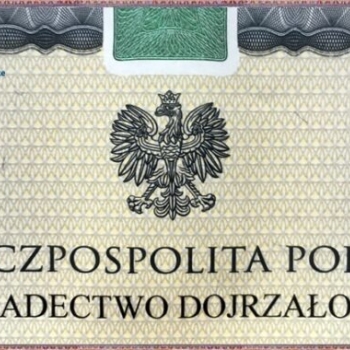 Ogłoszenie - Kupię świadectwo matury Uniwersytet Medyczny Wrocław , dyplom licencjata Collegium Humanum