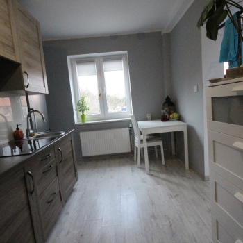 Ogłoszenie - 1pok, 24met, okolice Parku Prackiego TARAS/PO REMONCIE (Wrocław)