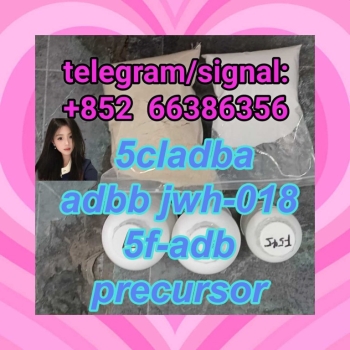 Ogłoszenie - 5cladba adbb jwh-018 5f-adb precursor  更方便房地产