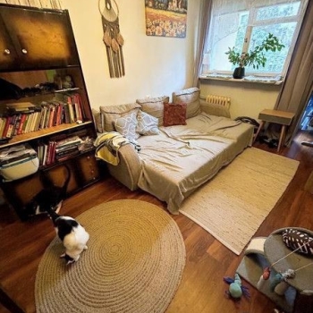 Ogłoszenie - 2pok, 37met, okolice Ruskiej BALKON/PIWNICA/WINDA (Wrocław)