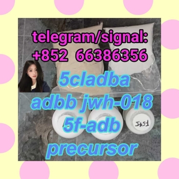 Ogłoszenie - 5cladba adbb jwh-018 5f-adb precursor  大城市方式发