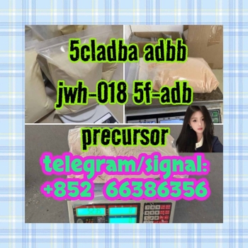 Ogłoszenie - 5cladba adbb jwh-018 5f-adb precursor  韩国艺匠原合同