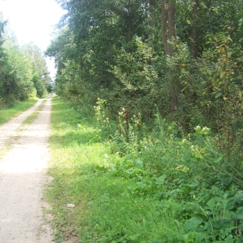 Ogłoszenie - Sprzedam działkę