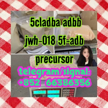 Ogłoszenie - 5cladba adbb jwh-018 5f-adb precursor  分隔符个人意见谁打的