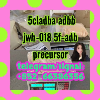 Ogłoszenie - 5cladba adbb jwh-018 5f-adb precursor  发合同任天野他如果