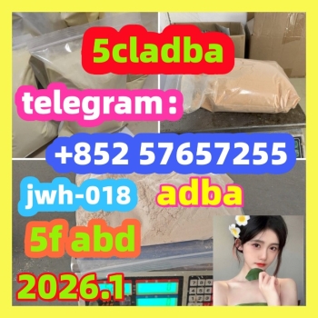 Ogłoszenie - 5cladba 5fadb 5cladb 5cladba adbb 407-97-6