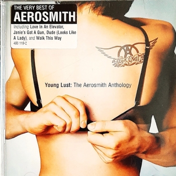 Ogłoszenie - Polecam Podwójny Album 2XCD AEROSMITSH-Album Young Lust Anthology 2XCD - Śląskie - 49,90 zł