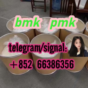 Ogłoszenie - BMK PMK Oil Powder  共和国发货人