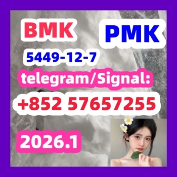 Ogłoszenie - BMK Glycidic Acid sodium salt CAS 5449 - 12 - 7