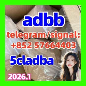 Ogłoszenie - Yellow 5cladba 5cladbb adbb 99% Pure 5cl Jwh-018 mdmb